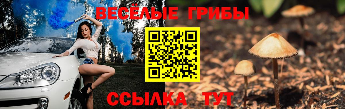 Псилоцибиновые грибы Psilocybine cubensis  Вход с VPN  Сочи 