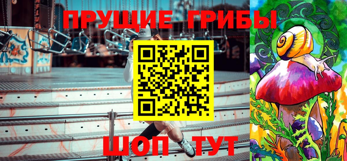 Галлюциногенные грибы Cubensis Сочи